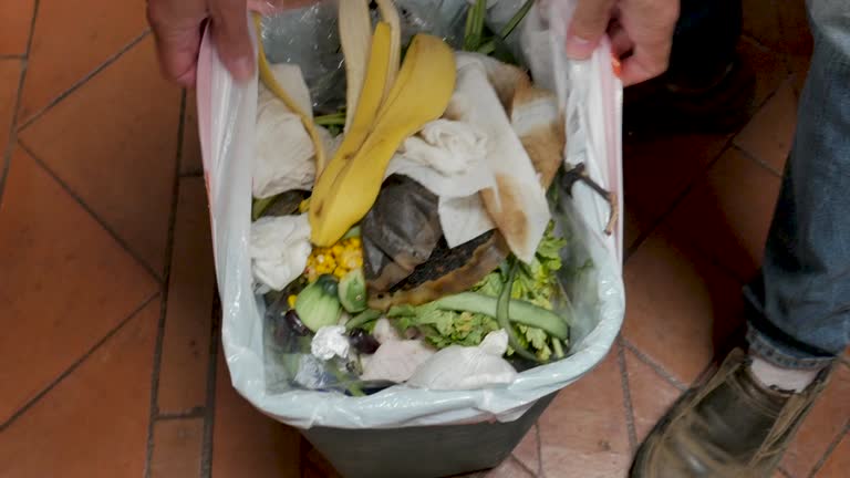Best Yard Waste Removal  in Washingtonville, NY